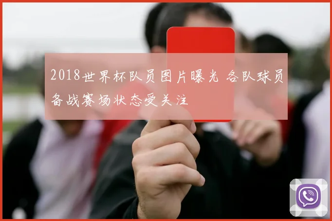 2018世界杯队员图片曝光 各队球员备战赛场状态受关注