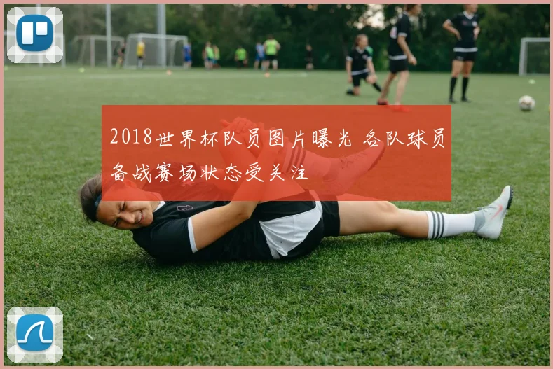 2018世界杯队员图片曝光 各队球员备战赛场状态受关注